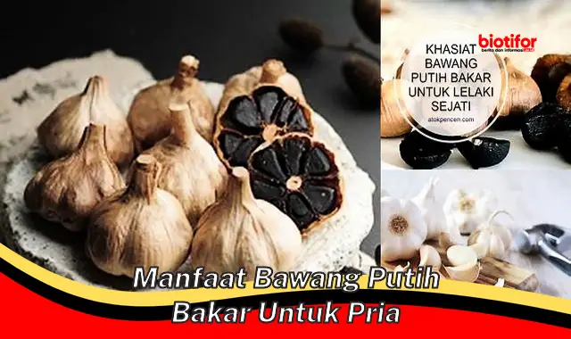 manfaat bawang putih bakar untuk pria