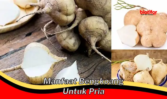 manfaat bengkoang untuk pria