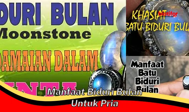 manfaat biduri bulan untuk pria