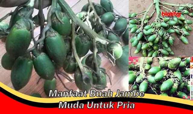 manfaat buah jambe muda untuk pria