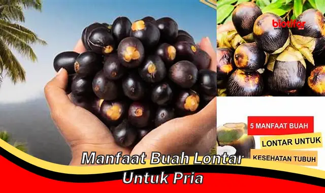 manfaat buah lontar untuk pria