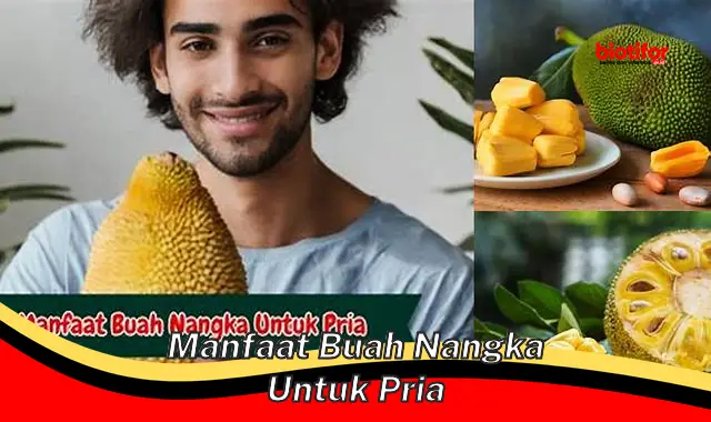 manfaat buah nangka untuk pria