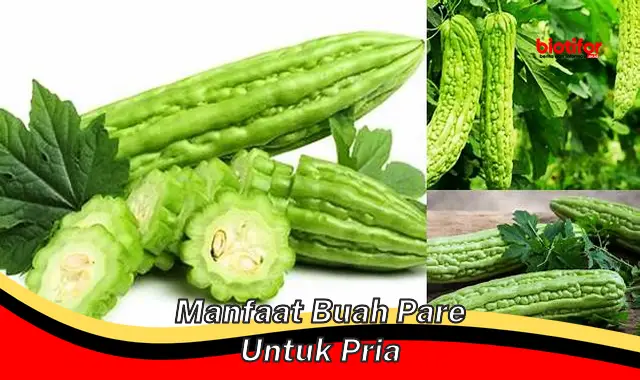 manfaat buah pare untuk pria