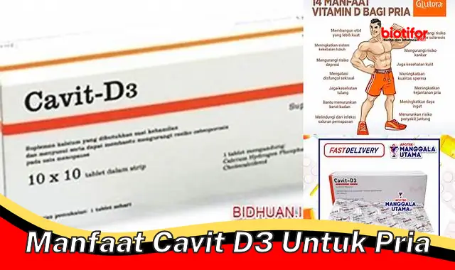 manfaat cavit d3 untuk pria