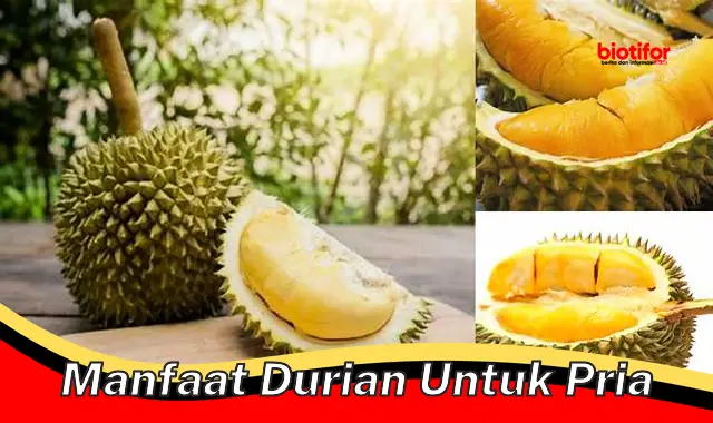 manfaat durian untuk pria