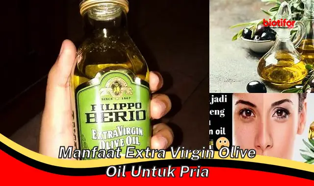 manfaat extra virgin olive oil untuk pria