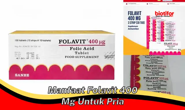 manfaat folavit 400 mg untuk pria