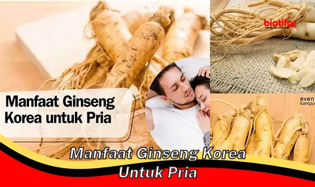 manfaat ginseng korea untuk pria