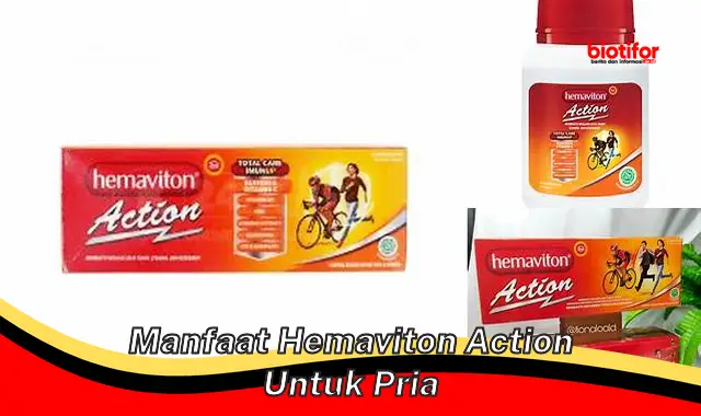 manfaat hemaviton action untuk pria