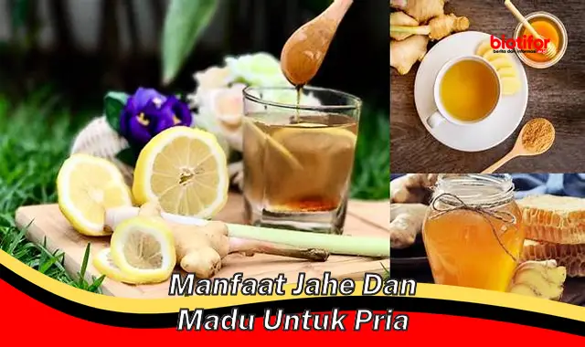 manfaat jahe dan madu untuk pria