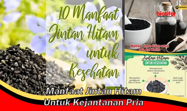 Temukan Manfaat Jintan Hitam untuk Kejantanan Pria yang Belum Banyak Diketahui