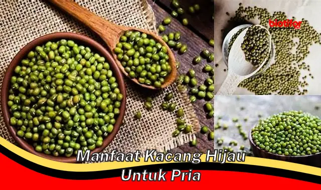 manfaat kacang hijau untuk pria