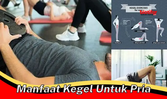 manfaat kegel untuk pria