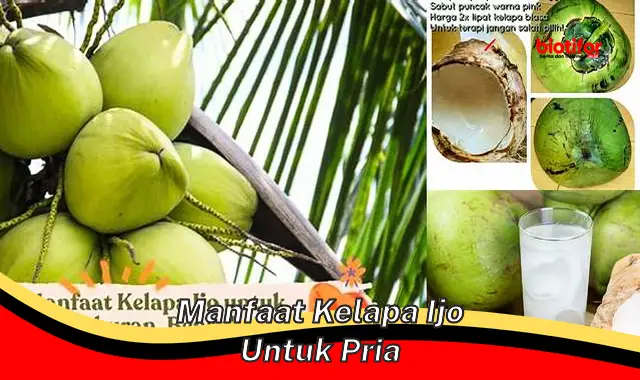 manfaat kelapa ijo untuk pria