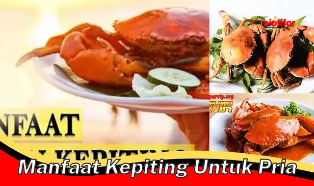 manfaat kepiting untuk pria