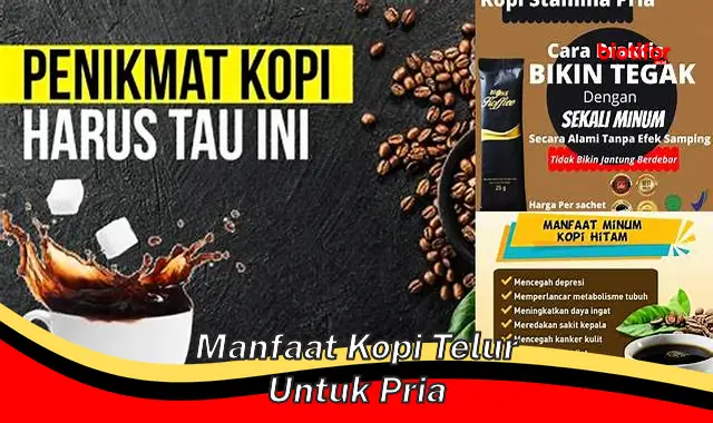 manfaat kopi telur untuk pria