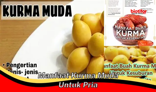 manfaat kurma muda untuk pria