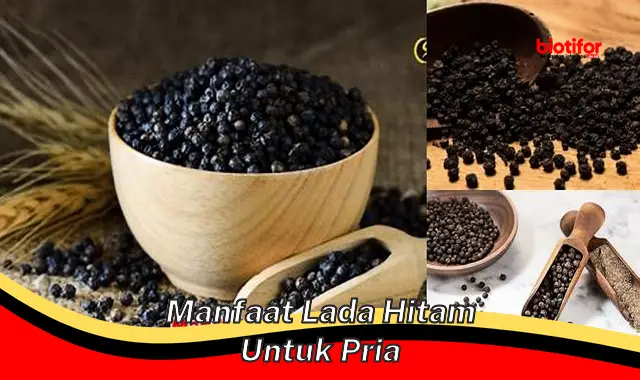 Temukan Manfaat Lada Hitam untuk Pria yang Perlu Anda Ketahui