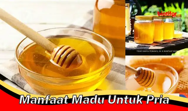 manfaat madu untuk pria