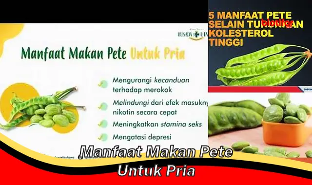 manfaat makan pete untuk pria