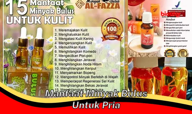 manfaat minyak bulus untuk pria