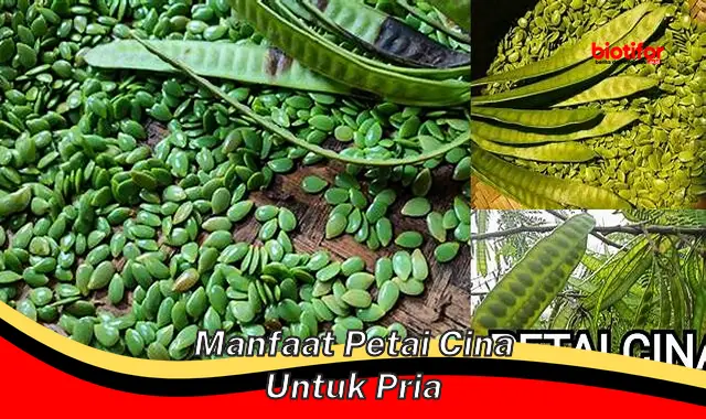 manfaat petai cina untuk pria