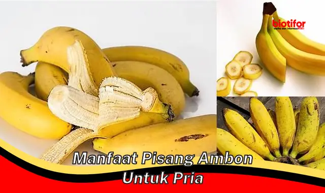 manfaat pisang ambon untuk pria