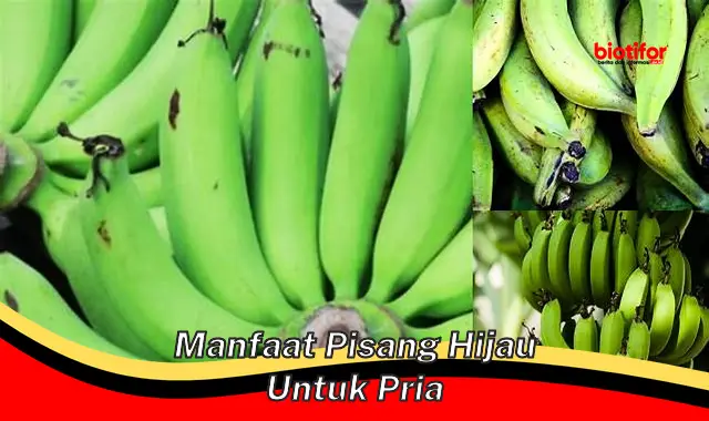 manfaat pisang hijau untuk pria