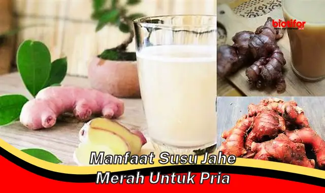 manfaat susu jahe merah untuk pria