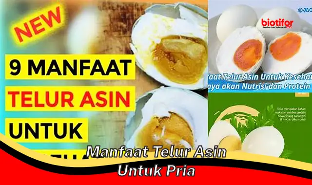 Temukan Manfaat Telur Asin yang Jarang Diketahui untuk Pria