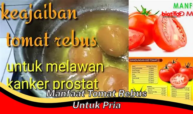 manfaat tomat rebus untuk pria