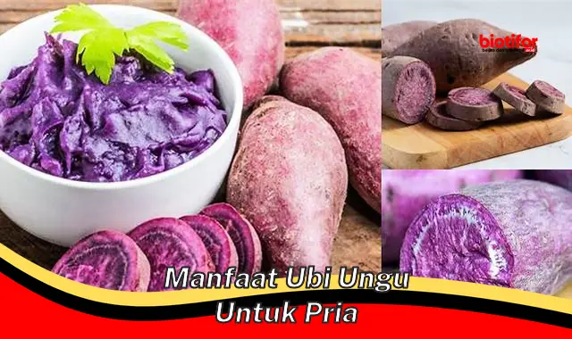 manfaat ubi ungu untuk pria