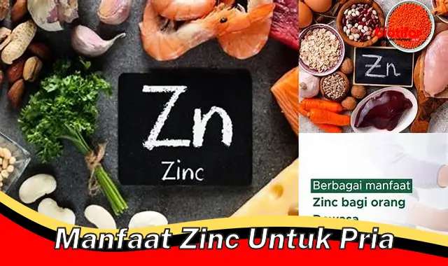 manfaat zinc untuk pria