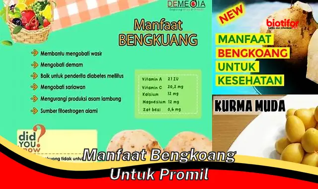 manfaat bengkoang untuk promil