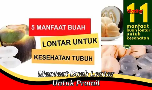 5 Manfaat Buah Lontar buat Pasutri yang Jarang Diketahui