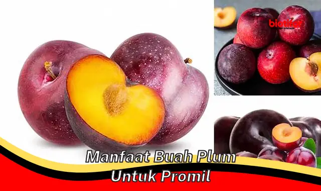 manfaat buah plum untuk promil