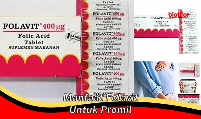 Temukan Manfaat Folavit untuk Program Hamil yang Jarang Diketahui