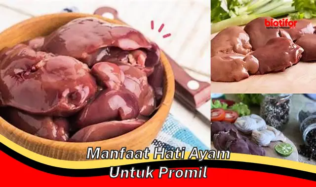 manfaat hati ayam untuk promil