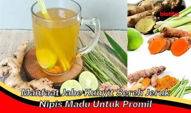 manfaat jahe kunyit sereh jeruk nipis madu untuk promil