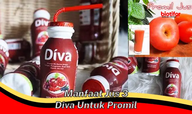 manfaat jus 3 diva untuk promil