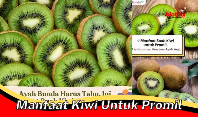 manfaat kiwi untuk promil