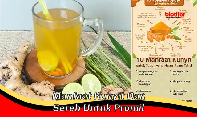 manfaat kunyit dan sereh untuk promil