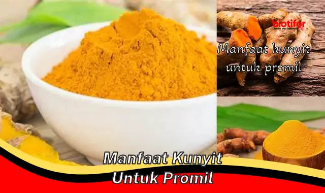 manfaat kunyit untuk promil