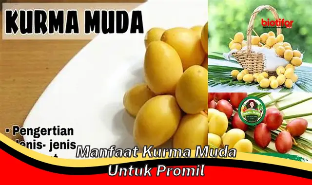 manfaat kurma muda untuk promil