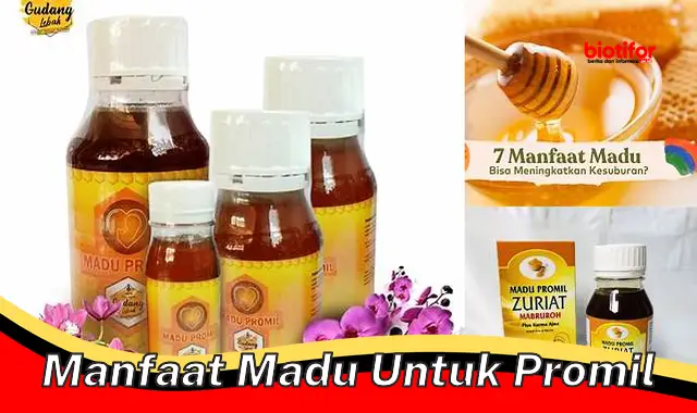 manfaat madu untuk promil