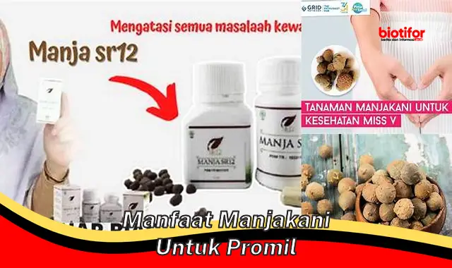 manfaat manjakani untuk promil