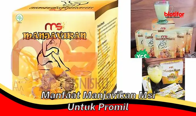 manfaat manjavikan msi untuk promil