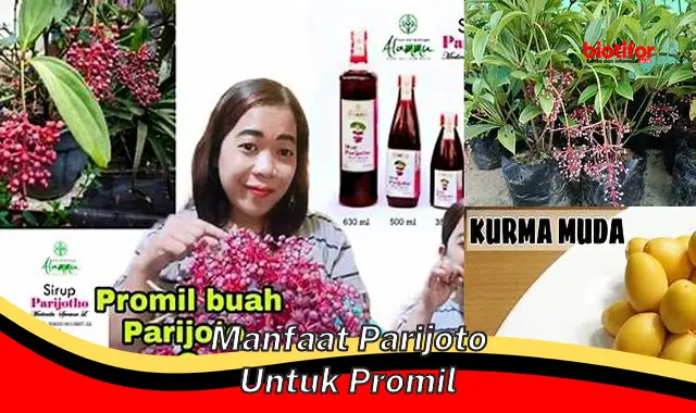 manfaat parijoto untuk promil