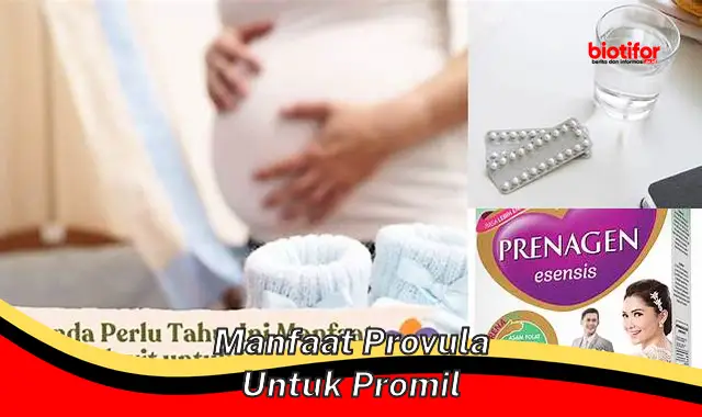 manfaat provula untuk promil