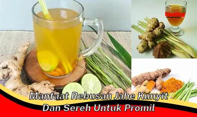 manfaat rebusan jahe kunyit dan sereh untuk promil